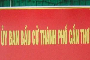 Cần Thơ: 4 người tự ứng cử đại biểu Quốc hội và HĐND 