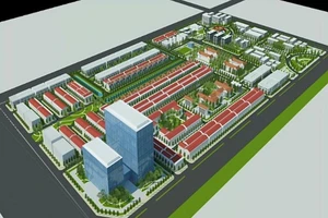 Thành lập khu công nghệ thông tin tập trung TP Cần Thơ