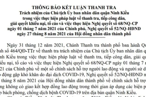 Cần Thơ: Ninh Kiều phải thu hồi 1,51 tỉ đã chi hỗ trợ lao động tự do