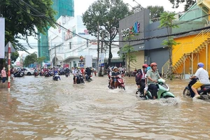 Cảnh báo đỉnh triều cường ở Cần Thơ vượt báo động III, đề phòng ngập úng