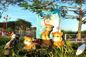 Cần Thơ sẽ bắn pháo hoa nghệ thuật đêm giao thừa tết Quý Mão 2023