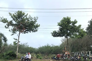 Cần Thơ đầu tư 16 khu tái định cư với tổng số vốn gần 12.000 tỉ