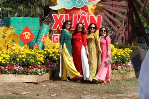 Ngắm vườn hoa nghệ thuật ở Cần Thơ 