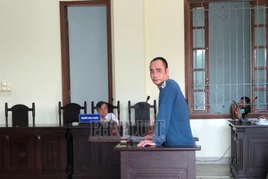 Từ câu chửi vì mất mèo, một người nằm liệt giường, một người đối diện án tù