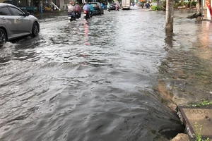 Mưa lớn đầu ngày, nhiều tuyến đường ở Cần Thơ lại ngập