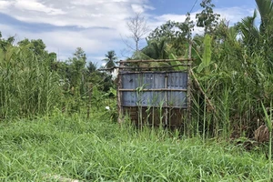 Đặt cọc xong đi làm thủ tục chuyển nhượng đất mới biết đất… đã đứng tên mình