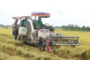 TP Cần Thơ công bố quy hoạch ngành nông nghiệp với 12 dự án ưu tiên đầu tư 