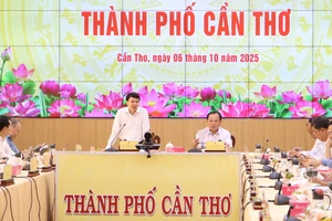 Chuyên gia gợi ý cho TP Cần Thơ về khu thương mại tự do 