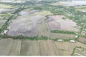 Một tập đoàn muốn đầu tư nhà máy điện mặt trời 1.000 tỉ ở Cần Thơ