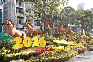 Lộ diện linh vật Bính Ngọ tại Đường hoa nghệ thuật ở Cần Thơ