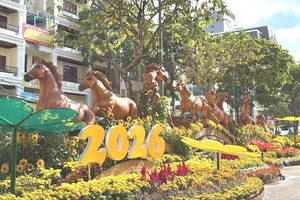 Chi tiết các điểm trông giữ xe phục vụ khách tham quan Đường hoa nghệ thuật ở Cần Thơ