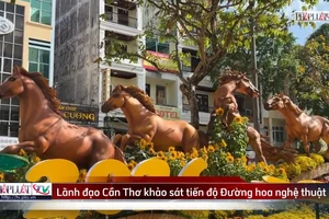 Video: Đường hoa nghệ thuật Cần Thơ dần lộ diện