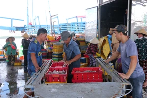 Cần Thơ sẽ hình thành Khu kinh tế Trần Đề, các cụm kinh tế biển đa ngành