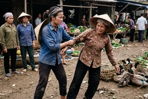 Vụ án chị bán vịt bồi thường cho bà nuôi vịt ở Vĩnh Long