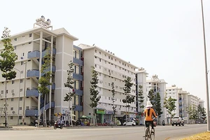 'Nhà ổ chuột' trên cao và giấc mơ có nhà để ở