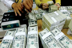 Dự trữ ngoại hối kỷ lục 45 tỉ USD, tỉ giá sẽ ra sao ?