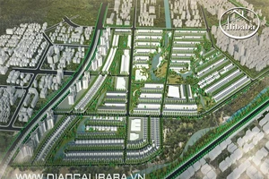 Địa ốc Alibaba làm gì sau cảnh báo khẩn của HoREA?