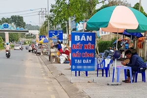 Chính phủ yêu cầu chặn cơn sốt đất các đặc khu kinh tế