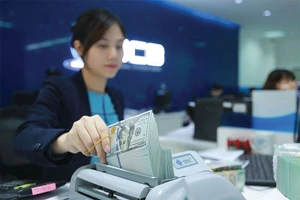 Qui định cho vay bằng ngoại tệ tới đây dự kiến sẽ có thêm nhiều điểm mới