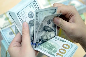 Đồng tiền hiếm hoi giữ giá ổn định từ đầu năm đến nay