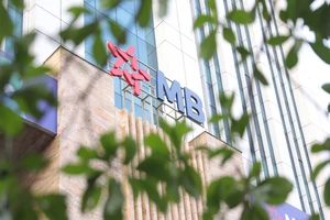 Doanh nghiệp nhỏ và siêu nhỏ 'được mùa' lãi suất thấp