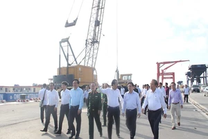 Cảng quốc tế Long An trung chuyển hàng hóa cho vùng ĐBSCL