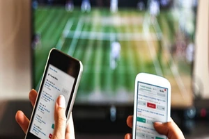 Tiền mặt hết cửa lọt vào đặt cược đua chó, ngựa, bóng đá