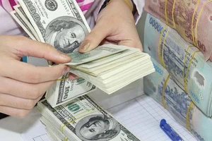 Tiền đồng Việt Nam giữ giá bất chấp Mỹ tăng lãi suất?