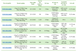 Tác động của vụ Tân Hoàng Minh đối với ngân hàng, BĐS và thị trường trái phiếu