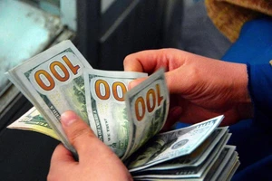Nhiều công ty lỗ vì giá USD biến động