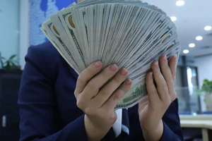 Nhà kinh doanh lỗ nặng vì 'quên' bảo hiểm tỉ giá