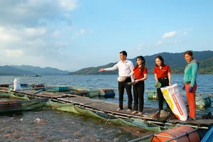 Tăng gấp đôi quy mô gói tín dụng ưu đãi cho ngành lâm thuỷ sản