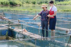 Tín dụng xanh: Động lực phát triển kinh tế xanh Việt Nam