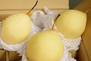 Cách nhận biết thực phẩm nhiễm hóa chất