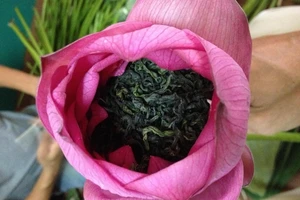 Trà sen để lâu có hại không?