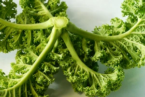 Những thực phẩm có tác dụng làm sạch cơ thể