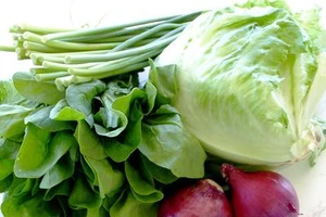 Tác dụng của vitamin K đối với làn da