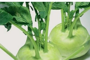 Cách giảm cân hiệu quả chỉ với su hào