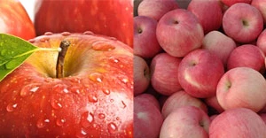 Đặc điểm nhận dạng trái cây Trung Quốc