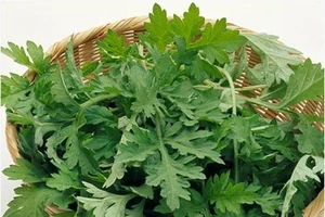 Trắng da nhanh chóng với mặt nạ rau xanh