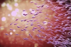 7 dấu hiệu chứng tỏ nam giới có tinh binh khỏe mạnh