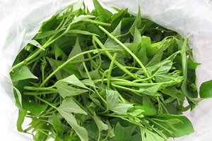 Tác dụng chữa bệnh của rau khoai lang