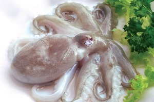 7 loại hải sản có thể gây chết người bạn phải biết