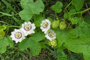 Cách đơn giản giã từ bệnh mất ngủ