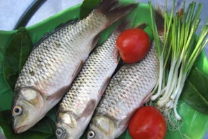 5 điều bắt buộc phải biết khi ăn cá