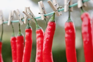 Sai lầm khi ăn ớt