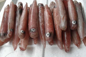 Đàn ông “mãn kinh” nên ăn gì?