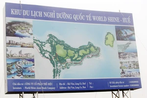 'Chúng tôi khẩn thiết mong Chính phủ hủy bỏ dự án ở Hải Vân'