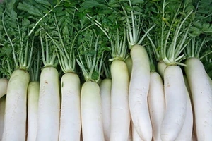 Tác dụng của củ cải trắng