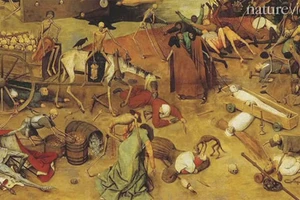 40 người chết vì bệnh dịch hạch